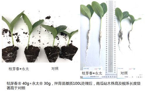 1531214155470841dGbk.png 圖片10.png