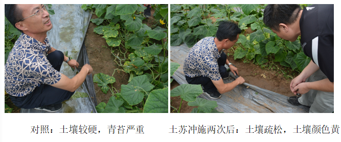 15559908405210988NMt.png 圖片11.png