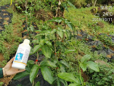 157654272786732574NK.png 圖片5_副本.png