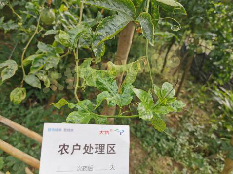 1576542773585597rDcR.png 圖片8_副本.png