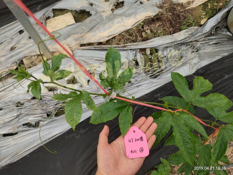 1576550076278911V9Hy.jpg cc2da651f4cd6271653e70c725ab5da.jpg