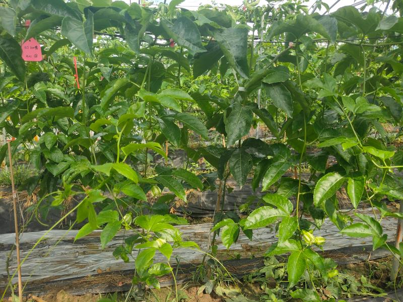 1576550146695379tER6.jpg 72571c1a5c4ebf7af674d76bae03851.jpg