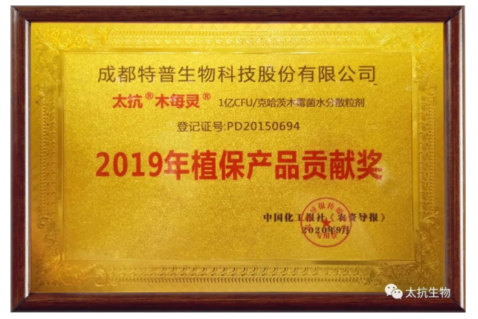 1610506371861910C24x.png blob.png